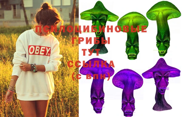дживик Алзамай